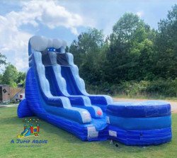 Wave Rider 20' Slide