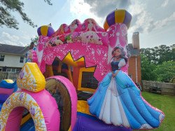 Princess202 1687890176 Princess Slide/Bounce House Combo